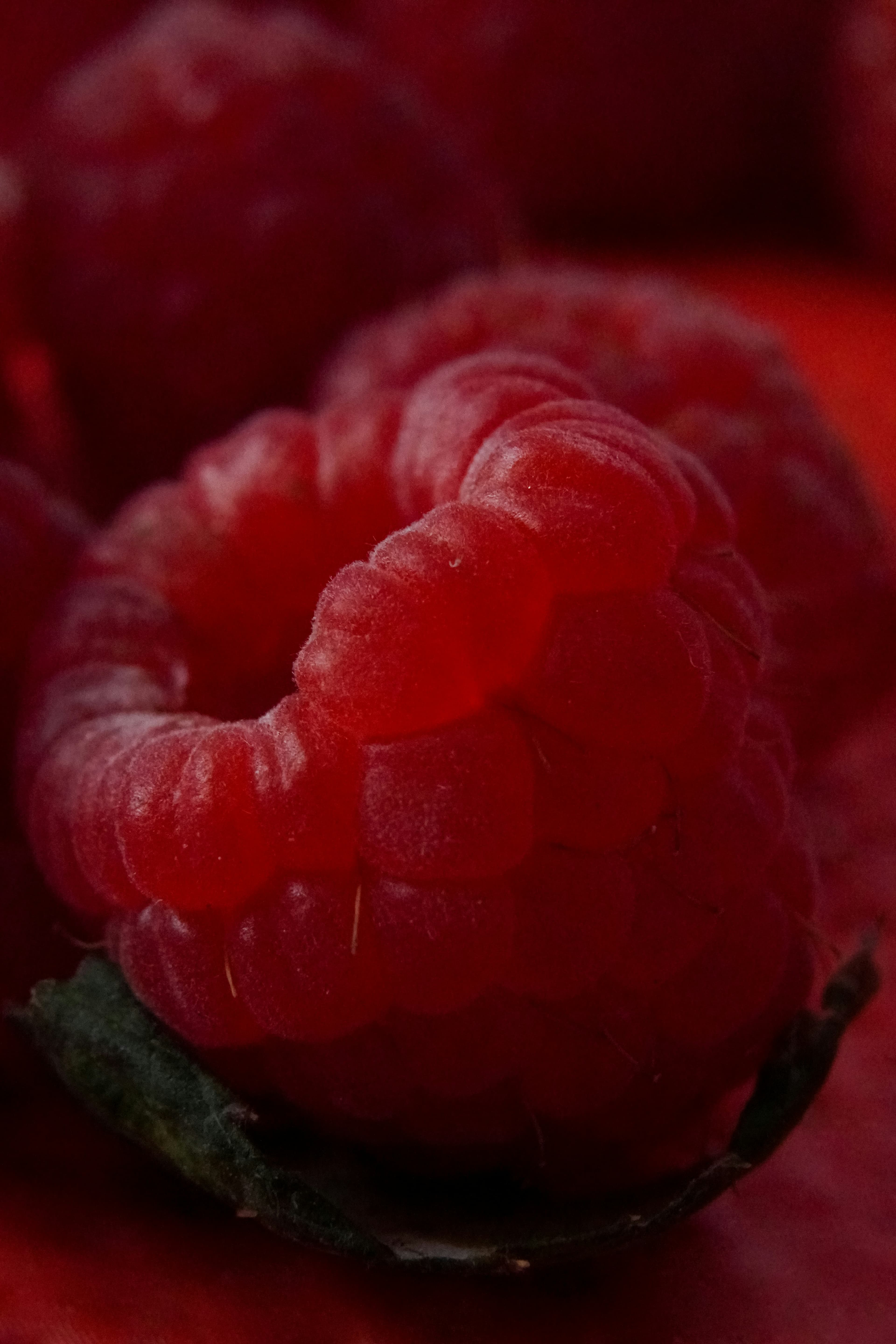 Close-up of a raspberry